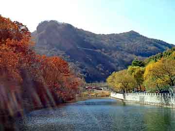 管家婆免费正版资起大全，医药压片机